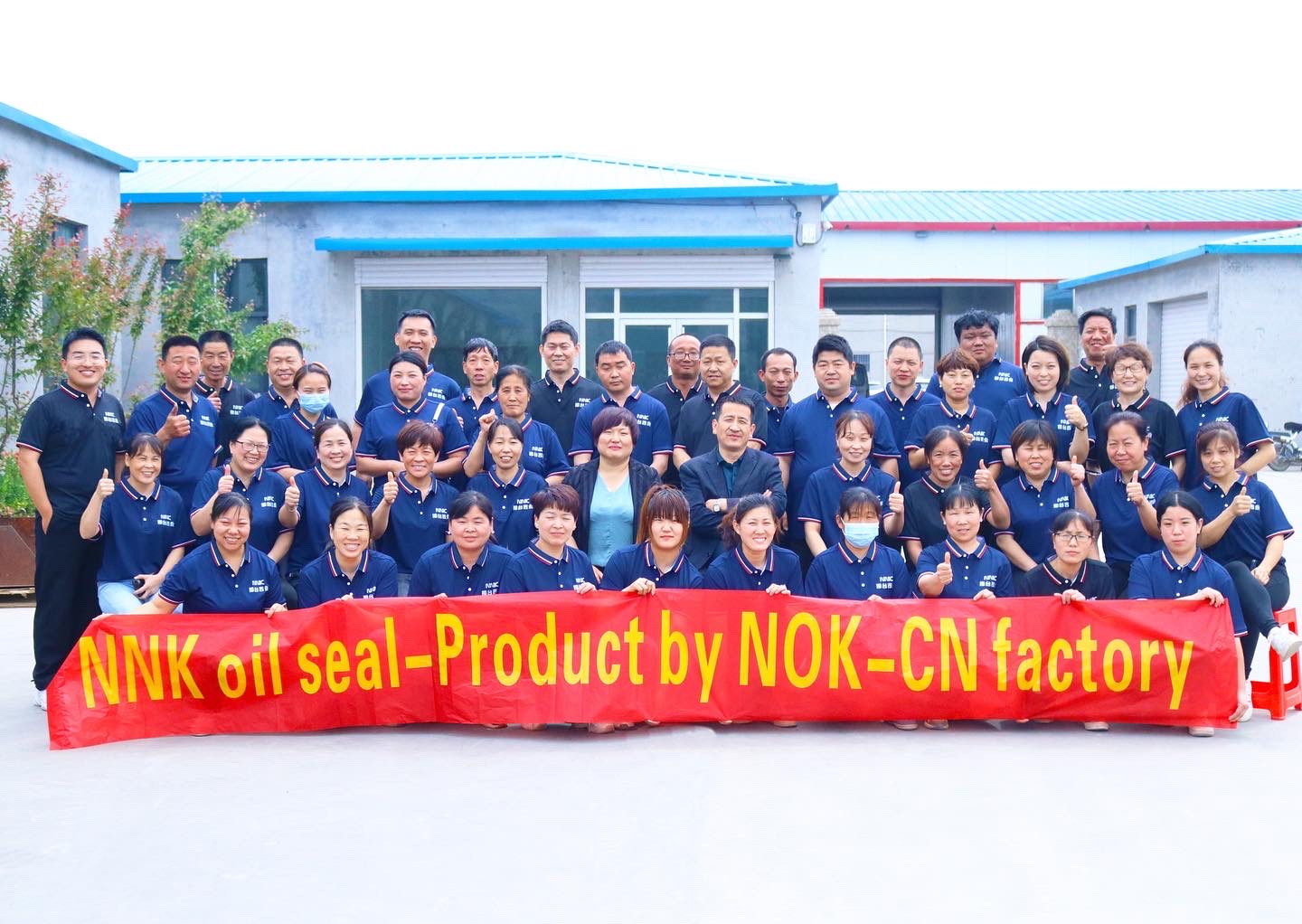 NNK Auto Parts Oil Seal for Mitsubishi